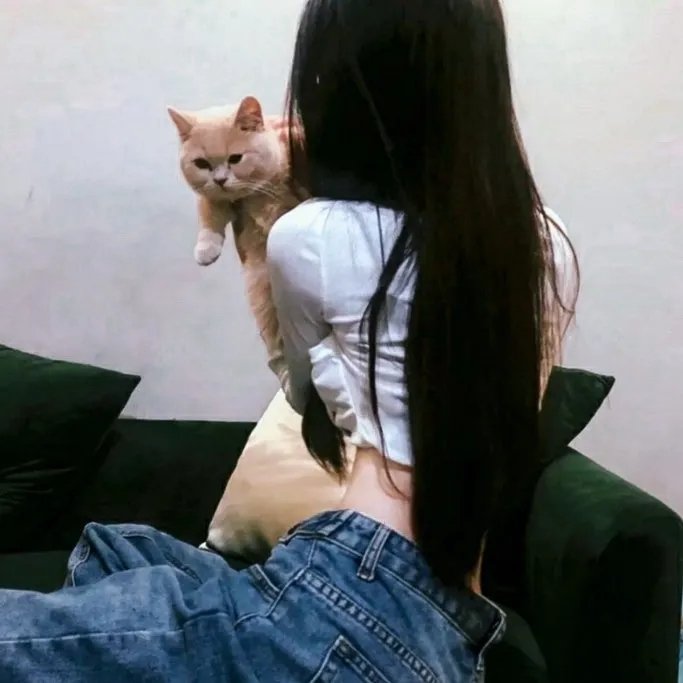 今晚打丧尸